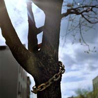 gal/Untitled (Project)/_thb_006HylaSkopitz.jpg